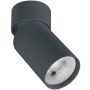 Zambelis CEILING SPOT S124 Повърхностно светило 1x40w/GU10 IP20