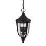 Feiss ENGLISH BRIDLE FE-EB8-M-BLK Висяща лампа 3x60W/E14 IP23