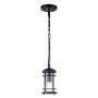 Feiss Lighthouse FE-LIGHTHOUSE8-S-BLK Висяща лампа 1x60W/E27 IP44