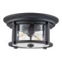 Feiss Merrill FE-MERRILL-F-BLK Таванен светилник 2x60W/E27 IP44
