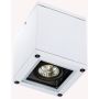 Zambelis CEILING LIGHT E270 Повърхностно светило 1x35W/GU10 IP65