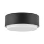 Hinkley Lighting Cedric HK-CEDRIC-F-S-BK Таванен светилник 2x40W/E27 IP20