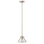 Hinkley Lighting CONGRESS HK-CONGRESS-P-A-BC Висяща лампа 1x60W/E27
