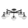 Hinkley Lighting Hollis HK-HOLLIS-5-C-BK Таванна лампа 5x40 W/E14 ip44
