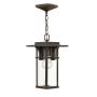 Hinkley Lighting MANHATTAN HK-MANHATTAN8-S Висяща лампа 1x60W/E27 IP23