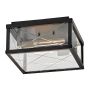 Hinkley Monte HK-MONTE-F-BK Таванна лампа 2x40W/E27 ip44