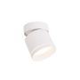 Light Prestige Kendal LP-6331/1SM R1 WH movable Повърхностно светило 1x7W/GX53 IP20