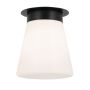 Kichler Albers KL-ALBERS-F-T-BK Таванен светилник 1x40W/E27 IP20