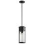 Kichler Camillo KL-CAMILLO-P-TBK Висяща лампа 1x60W/E27 IP44