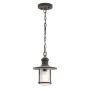 Kichler RIVERWOOD KL-RIVERWOOD8-M Висяща лампа 1x60W/E27 IP44