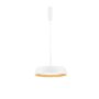 Luces Exclusivas CARACOLLO LE44813 Висяща лампа 1x40W/led 3000k IP20 3111lm