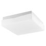 Nova Luce CUBE 6110041 Таванна лампа IP44