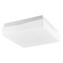 Luces Exclusivas LORENZO LE42448 Таванна лампа IP44