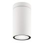 Nova Luce CERISE 9040021 Повърхностно светило IP54