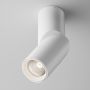 Maytoni DAFNE C027CL-L10W4K Спот 1x10W/LED 4000K 1060LM IP20