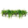 King Home SEMIRA INDUSTRIAL OSW001005 Висяща лампа 6x40W/E27 IP20