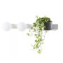 Kaspa BOTANICA DECO 20852201 Светильник за стена 2x9W/E14 IP20