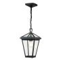 Quintiesse ALFORD PLACE QN-ALFORD-PLACE8-S-MB Висяща лампа 1x60W/E27 IP44