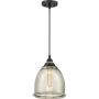 Quoizel PICCOLO QZS-QPP2818K Висяща лампа 1x60W/E27