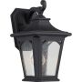 Quoizel BEDFORD QZ-BEDFORD2-S Светильник за стена 1x60W/E27 IP44
