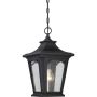 Quoizel BEDFORD QZ-BEDFORD8-S Висяща лампа 1x60W/E27 IP44
