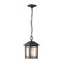 Quoizel Cedar Point QZ-CEDAR-POINT8-M-BK Висяща лампа 1x60W/E27 IP44