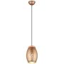 Trio BIDAR R31571065 Висяща лампа 1x28w/e27 ip20