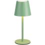 Trio DIAZ R55961149 Масичка лампа 1x1.6w/led 2700-6500k 160lm ip44
