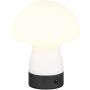Trio DOOLEY R54981131 Масичка лампа 1x1.5w/led 3000k 140lm ip20