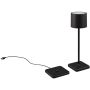 Trio FERNANDEZ R54096132 Масичка лампа 1x1w/led 2700+4000+6000K 130lm ip54