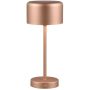 Trio JEFF R59151165 Масичка лампа 1x1.5w/led 3000K 150lm ip20