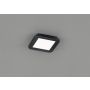 Trio CAMILLUS R62931032 Таванна лампа 1x10w/led 3000k 850lm ip44