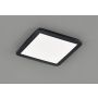 Trio CAMILLUS R62931832 Таванна лампа 1x18w/led 3000k 1650lm ip44