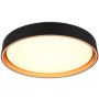 Trio FELIS R64391080 Таванна лампа 1x24w/led 2700-6500k 2500lm ip20