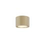 Maytoni Hydra C090CL-10W3K-MG Повърхностно светило 1x10W/LED 3000K 650lm IP44