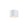 Maytoni Hydra C090CL-10W3K-W Повърхностно светило 1x10W/LED 3000K 740lm IP44