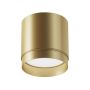 Maytoni Polar C088CL-GX53-MG Повърхностно светило 1x15W/GX53 IP20