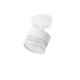 Light Prestige Kendal LP-6331/1WS TR/WH Спот 1x7W/GX53 IP20