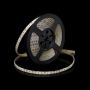 SMD LED PROline TAS4274SLL LED лента 120x12W/m/LED 4000K 1440 lm/m IP66