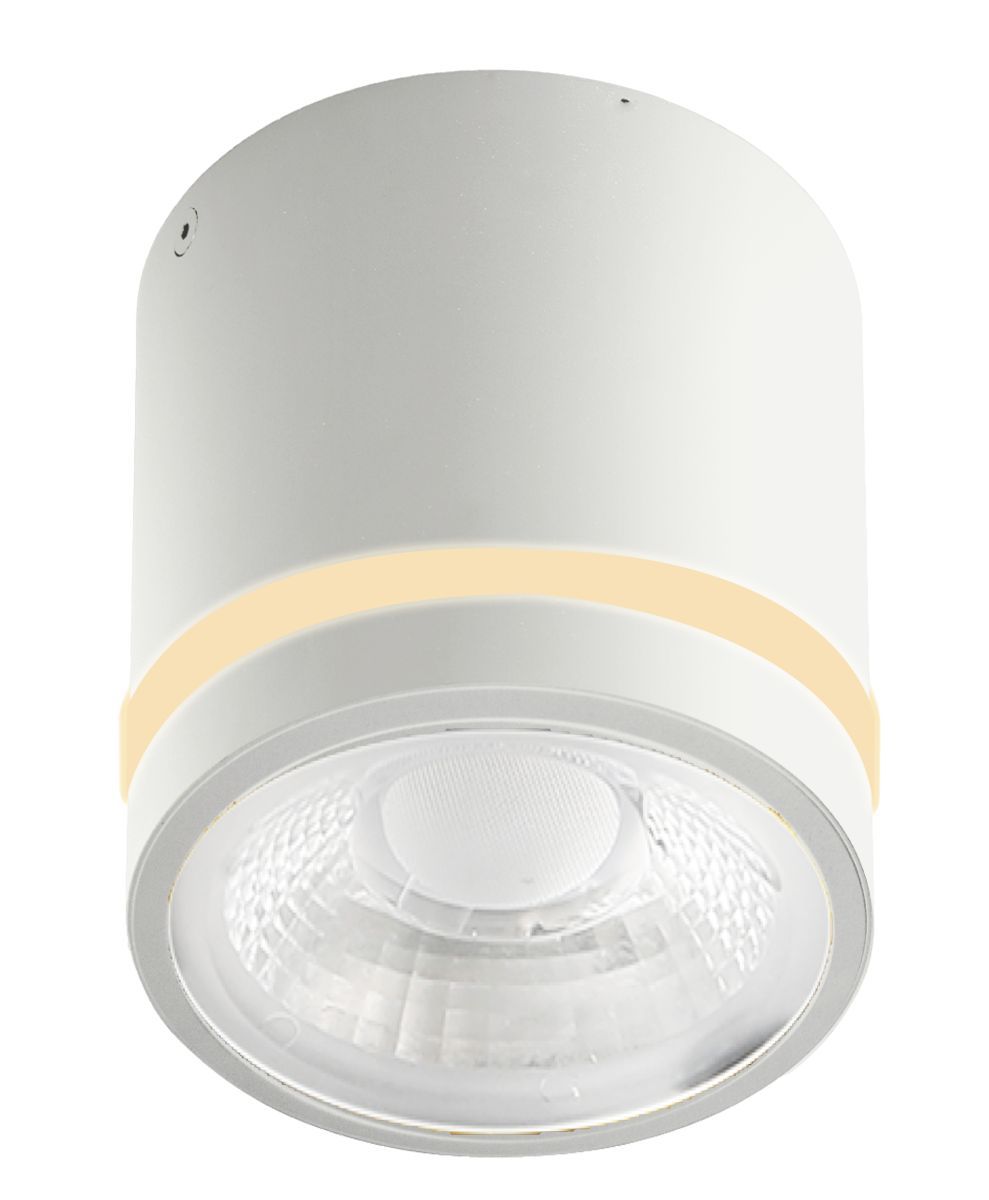AZzardo-VICI-AZ6040-AZZAZ6040