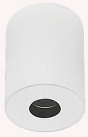 Zambelis-CEILING SPOT-S113-ZAMS113