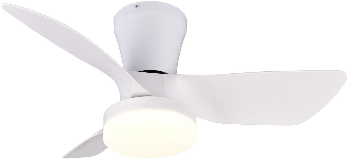 TRIO-RANDERS-R64412131-TRIR64412131