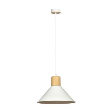 Emibig ROWEN 1045/1 Висяща лампа 1x15W/E27 IP20