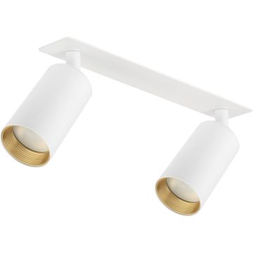TK Lighting AMIS 10811 Спот 2x10W/GU10 IP20