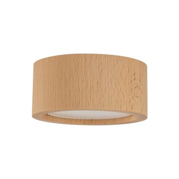 TK Lighting EVE 10123 Повърхностно светило 1x11W/GX53 IP20