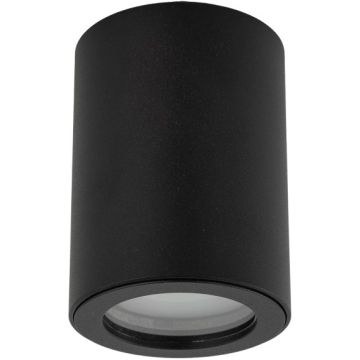 TK Lighting LIGNO 10933 Повърхностно светило 1x10W/GU10 IP44