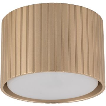 TK Lighting FERRO 11657 Повърхностно светило 1x8W/gx53 3000K 560lm IP20