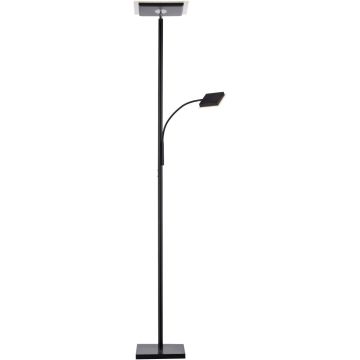 Paul Neuhaus HANS 11710-18 Стойка лампа 2x31,5W/LED 3000k 2500lm ip20