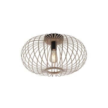 Paul Neuhaus RACOON 11411-79 Таванен светилник 1x40W/E27 IP20