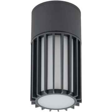 TK Lighting RIBO 11508 Повърхностно светило 1x15W/E27 IP54